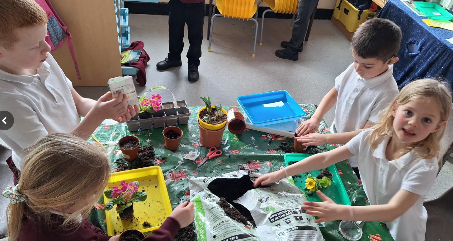 Image of Planting in Cross Fell