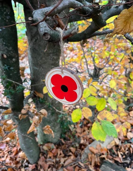 Image of Poppy day