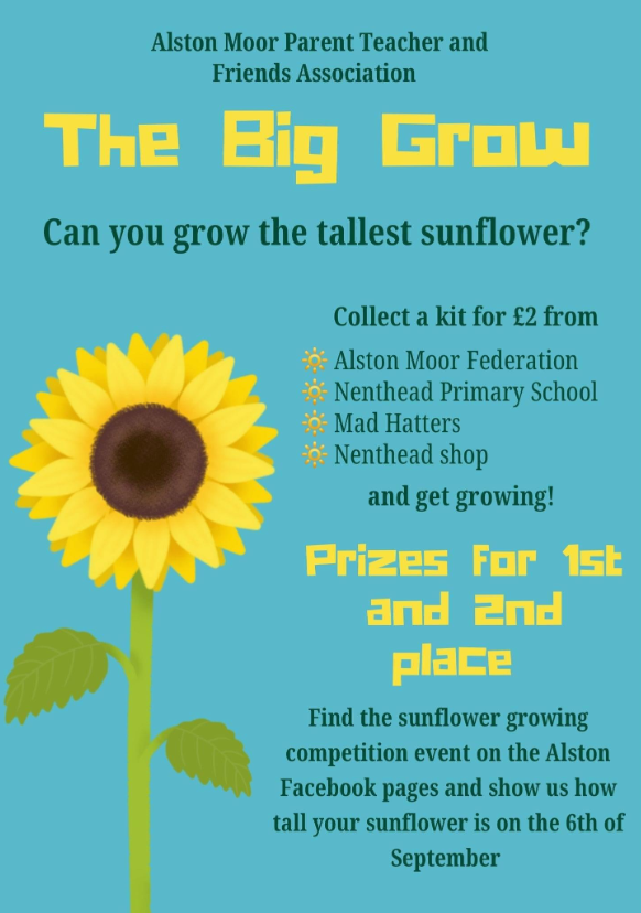 Image of Sunflower competition