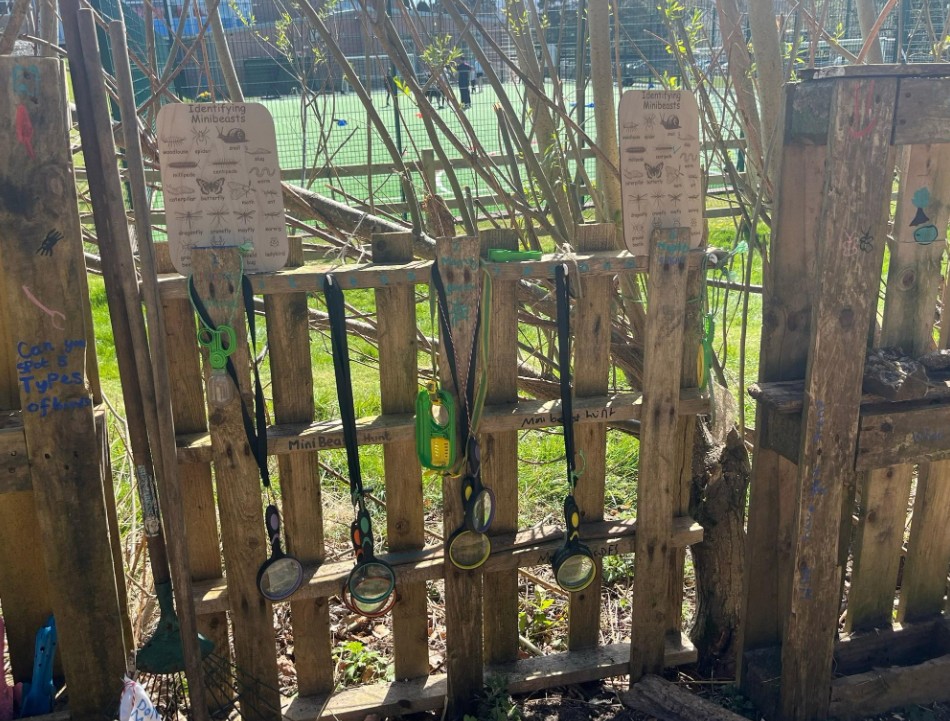 Image of New and improved forest school!