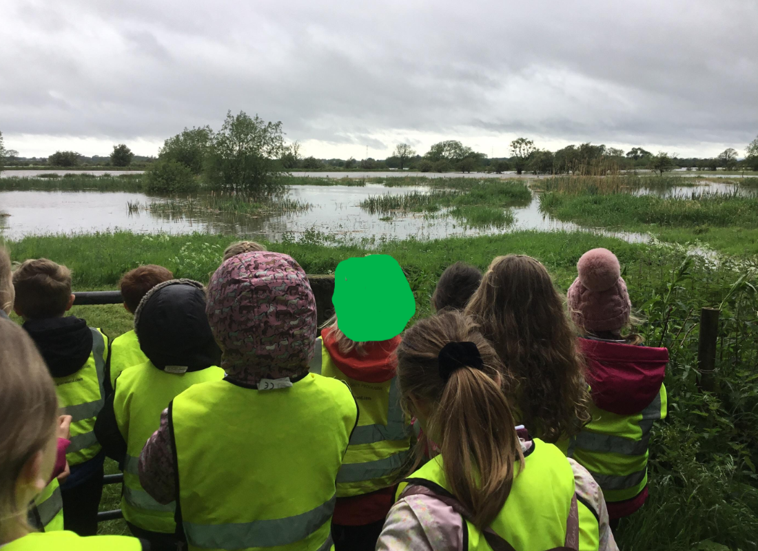 Image of Cross Fell's trip to the wetlands