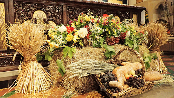 Image of Y2 Harvest Assembly 