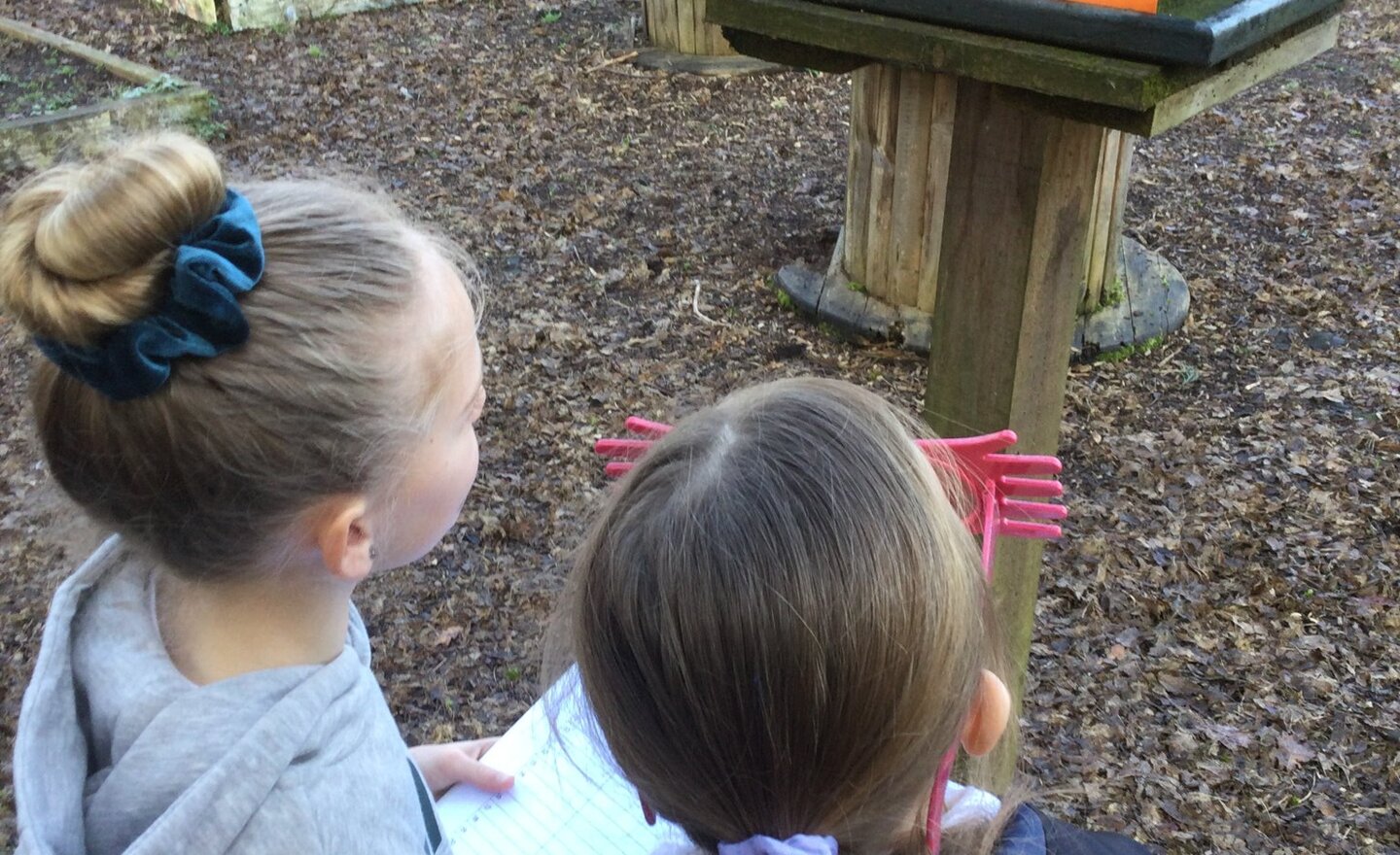 Image of World Book Day Quiz