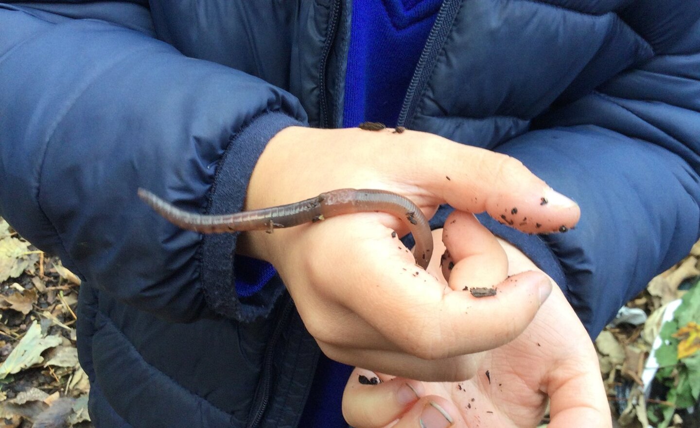 Image of Outdoor Thursday.