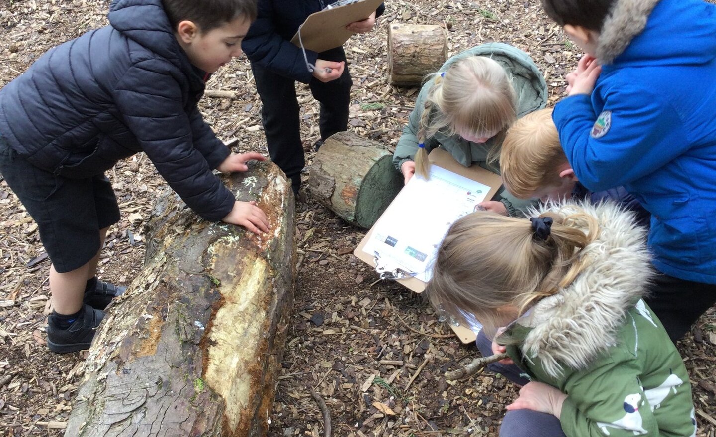 Image of Minibeast hunt