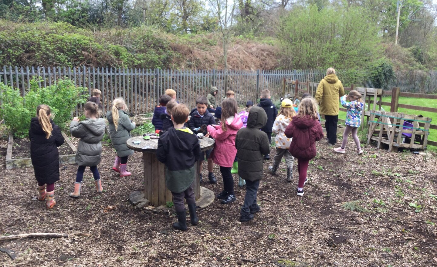 Image of Outdoor classroom clean up!