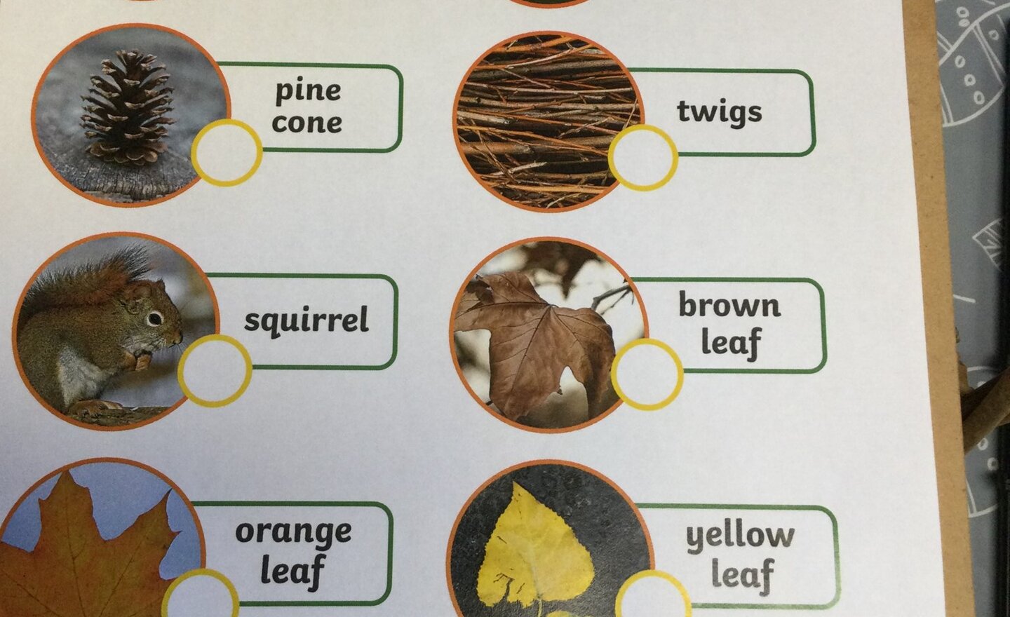 Image of Autumn Walk Hunt