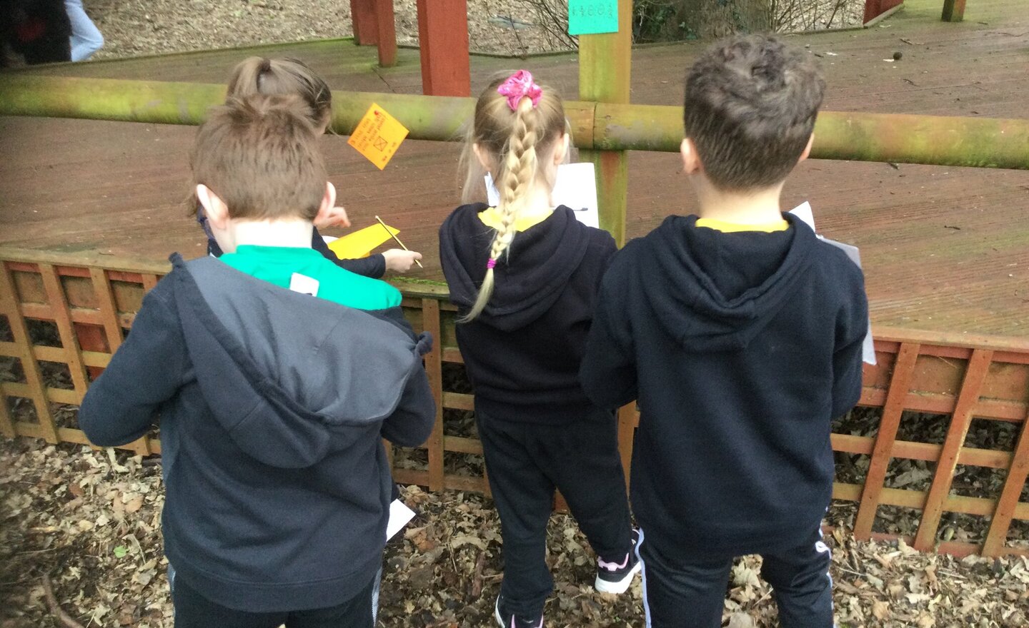 Image of Fractions outdoors