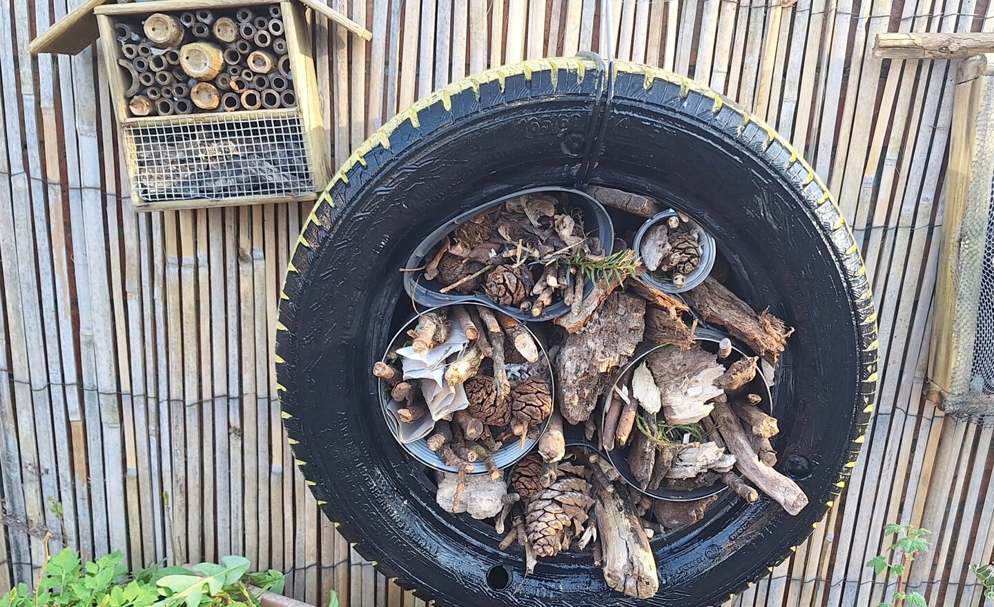 Image of Minibeast Hotel