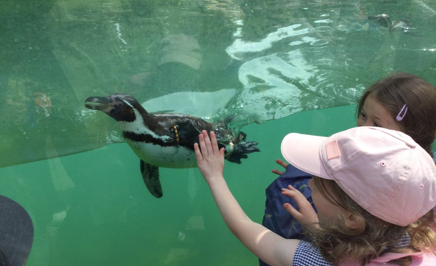 Image of Twycross Zoo