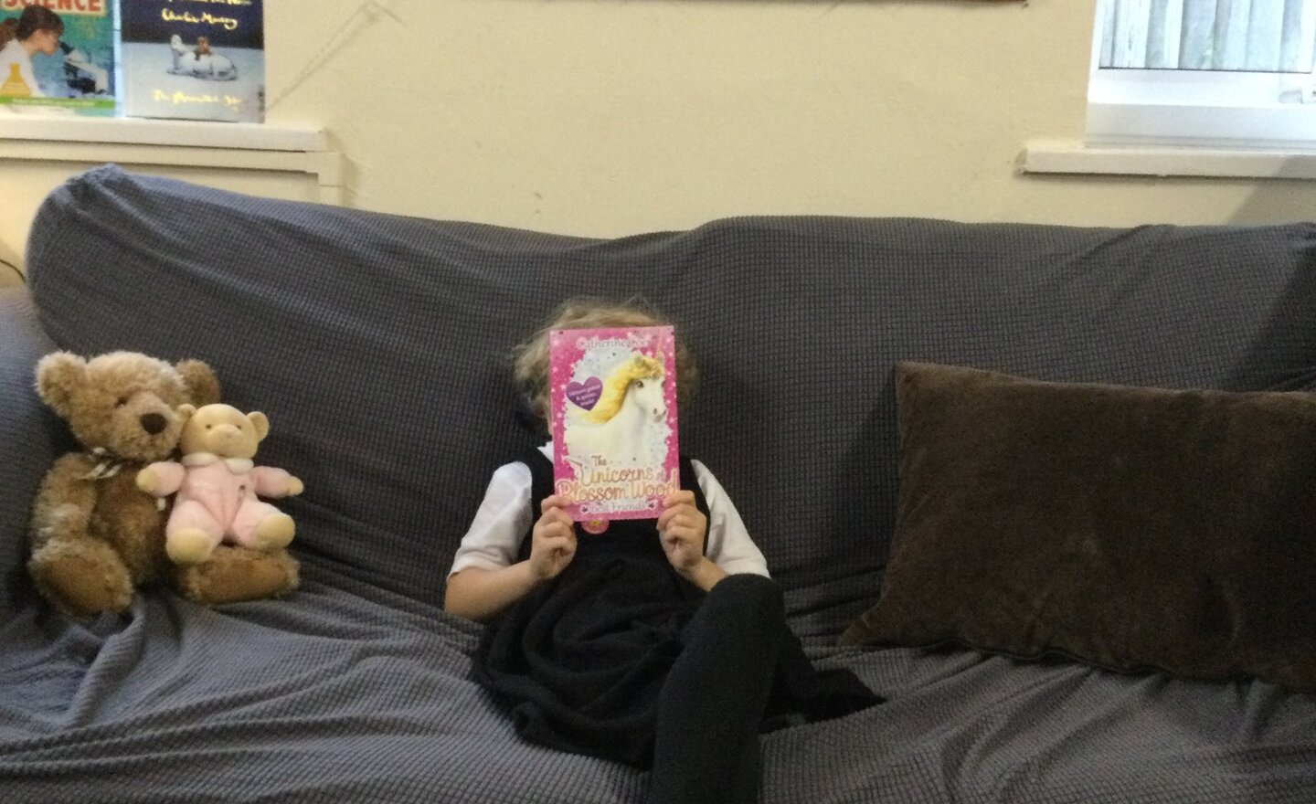 Image of Class 2’s 5x reader!