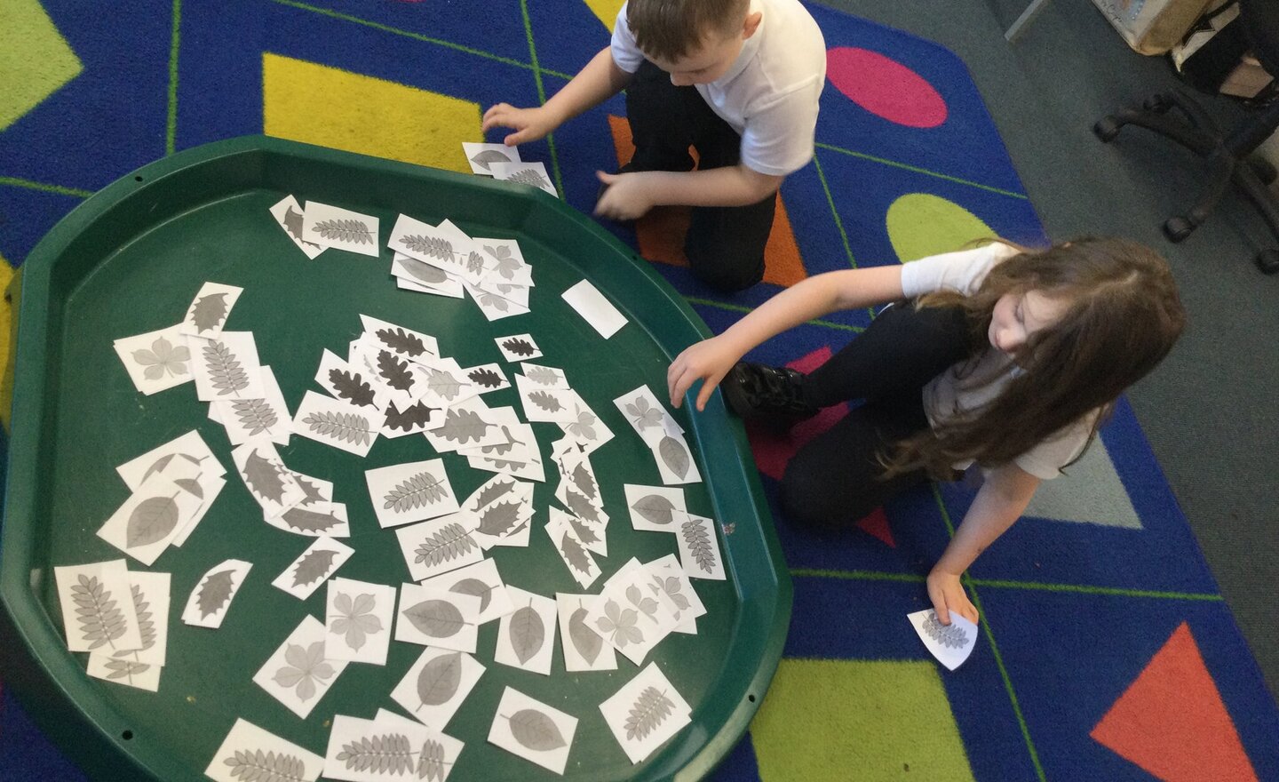 Image of Science- leaf classification