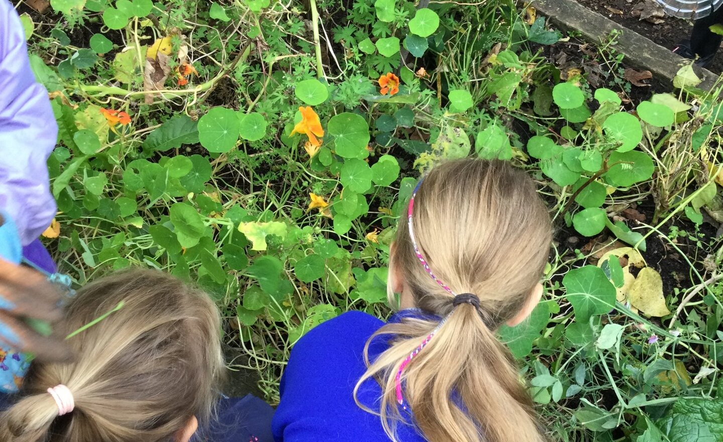 Image of Outdoor Thursdays!