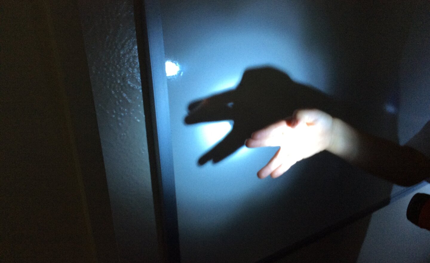 Image of Investigating Light