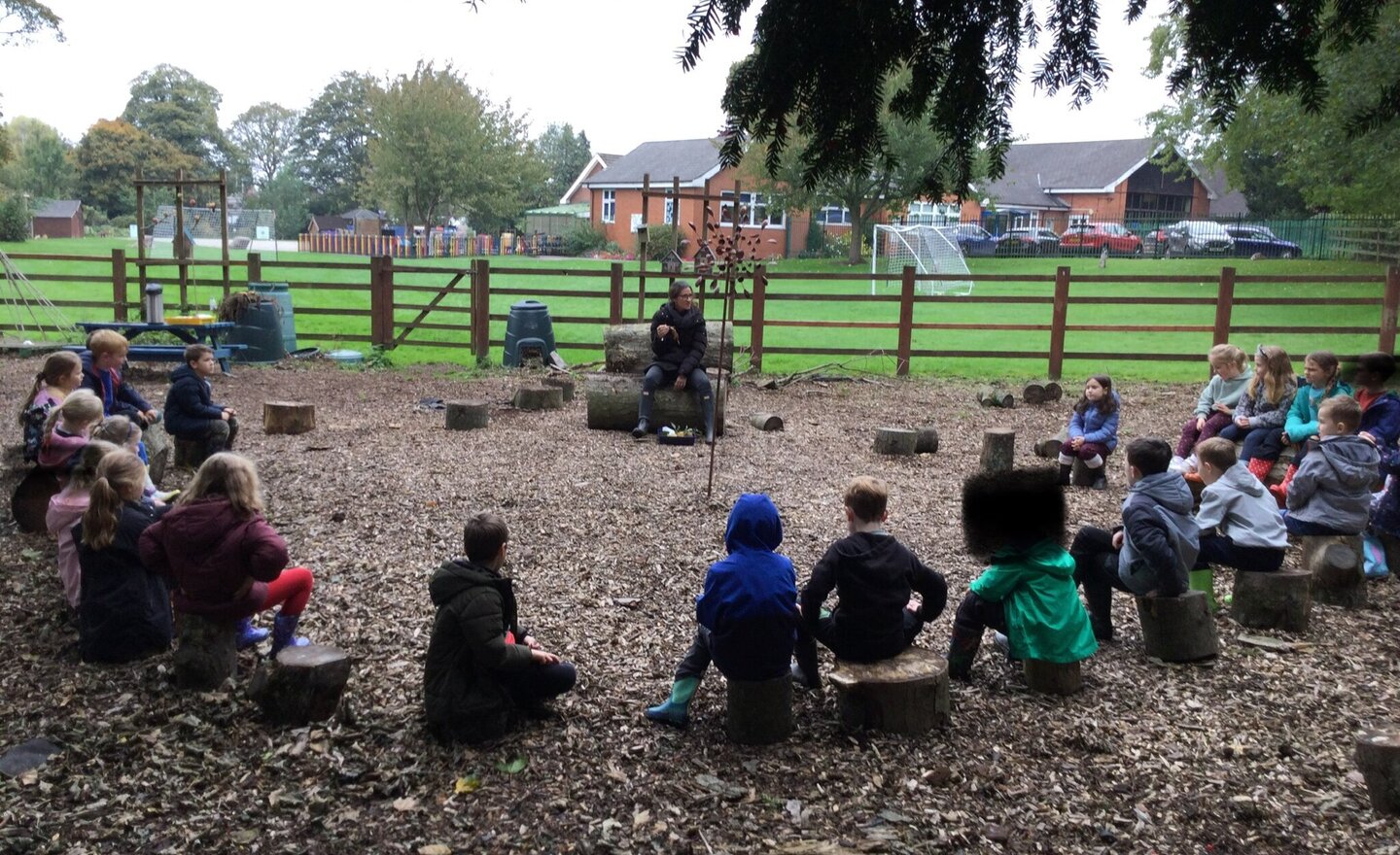 Image of Autumn Walk