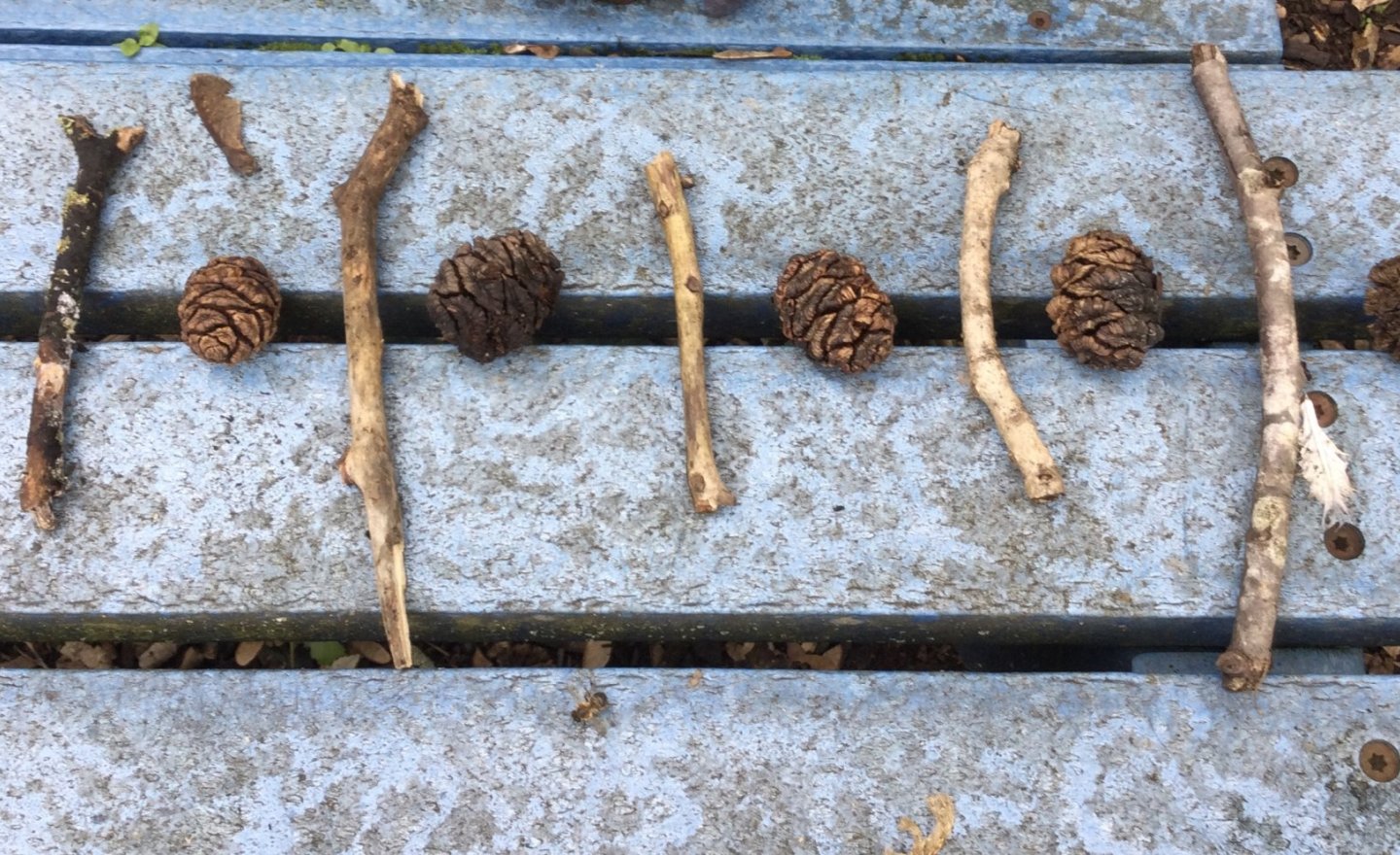 Image of Nature plans 