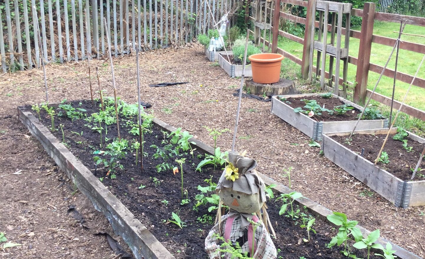 Image of Tending to our plants