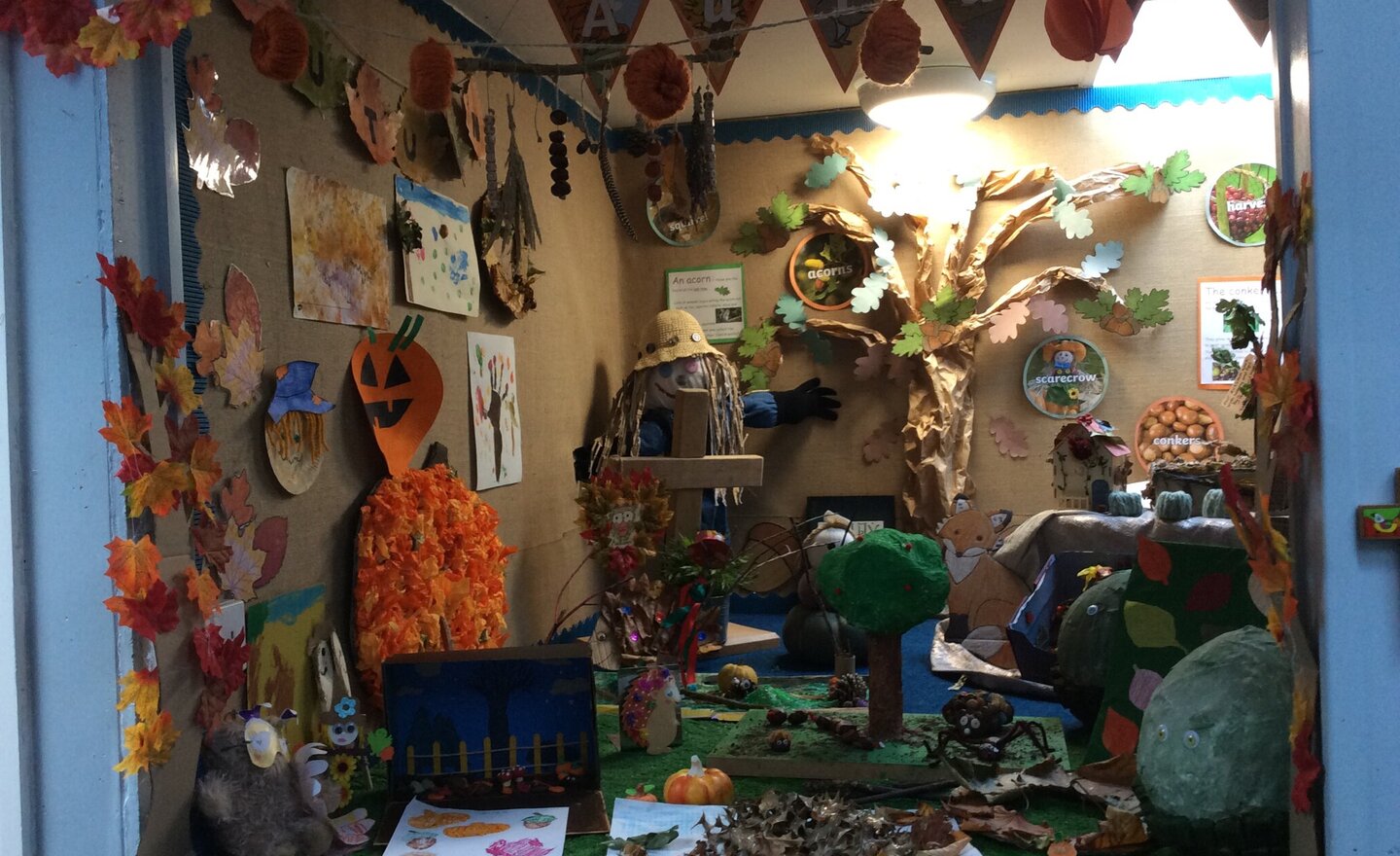 Image of Autumn Display