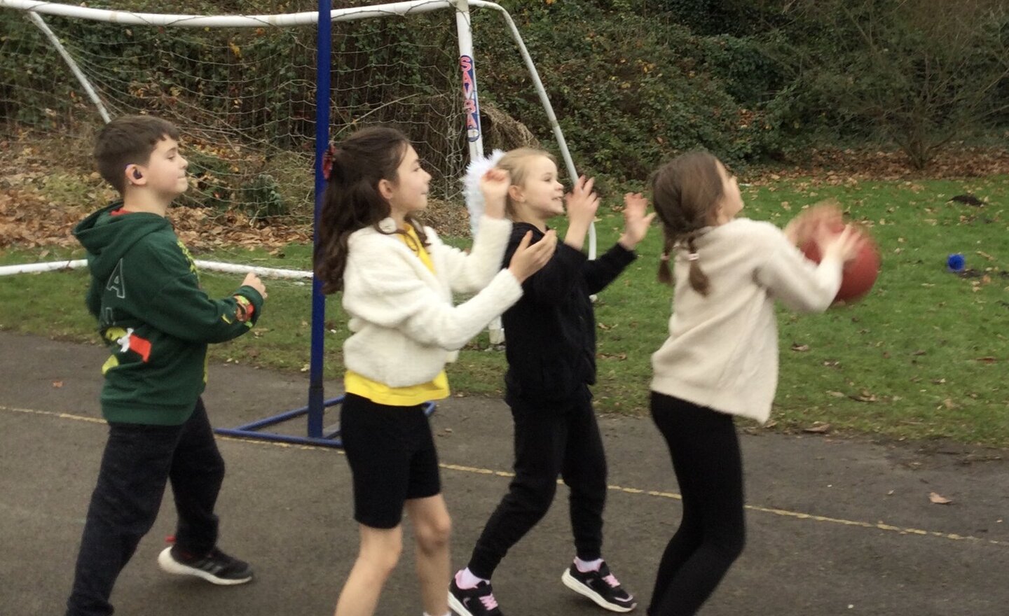 Image of Mini Basketball 