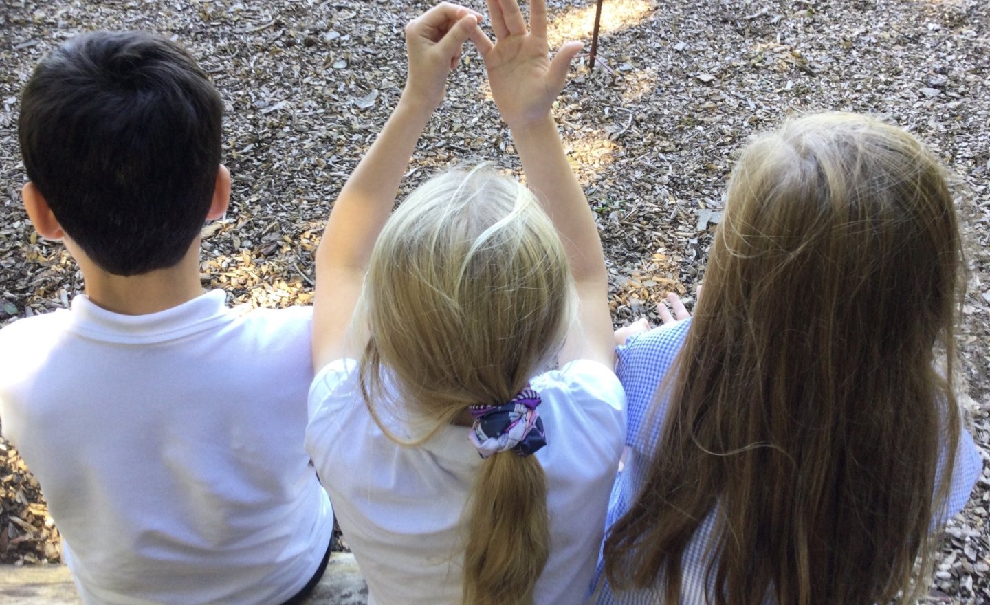 Image of Noticing