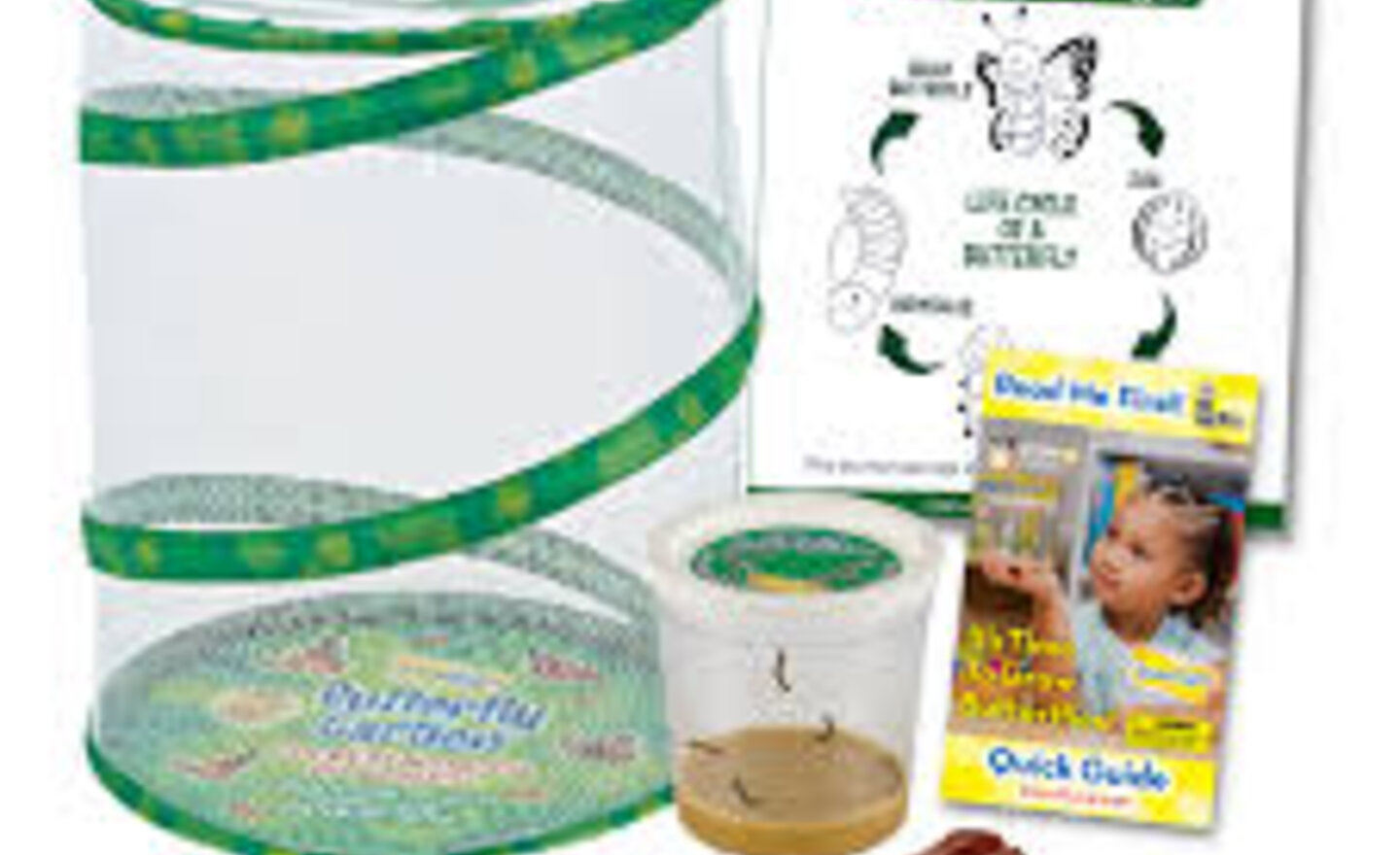 Image of We have caterpillars!