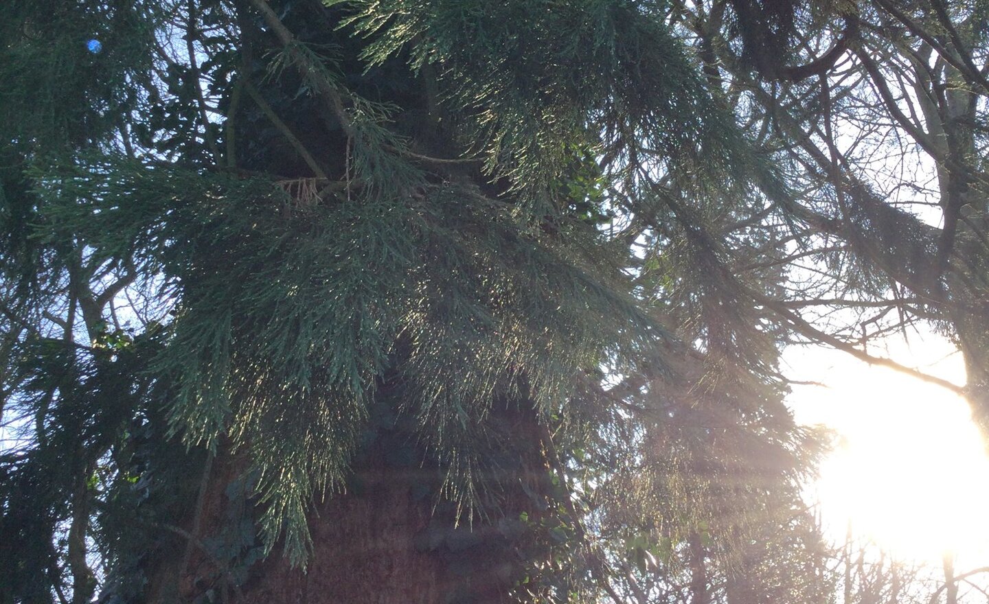 Image of Outdoor Thursdays