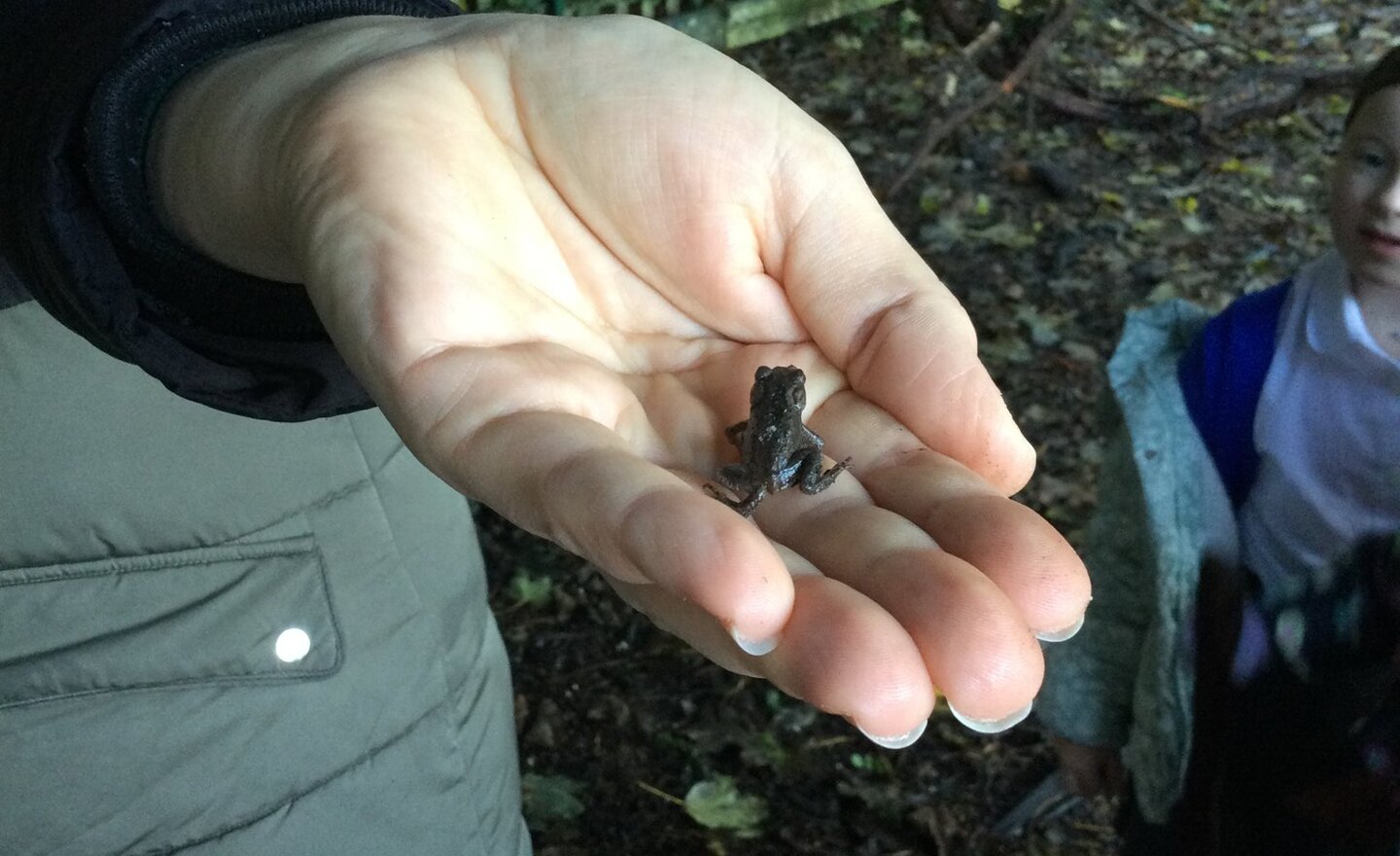 Image of Outdoor Thursdays!