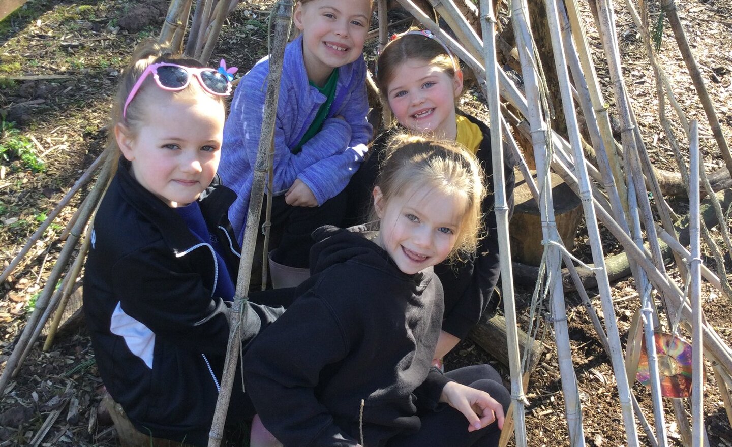 Image of A very sunny Thursday!