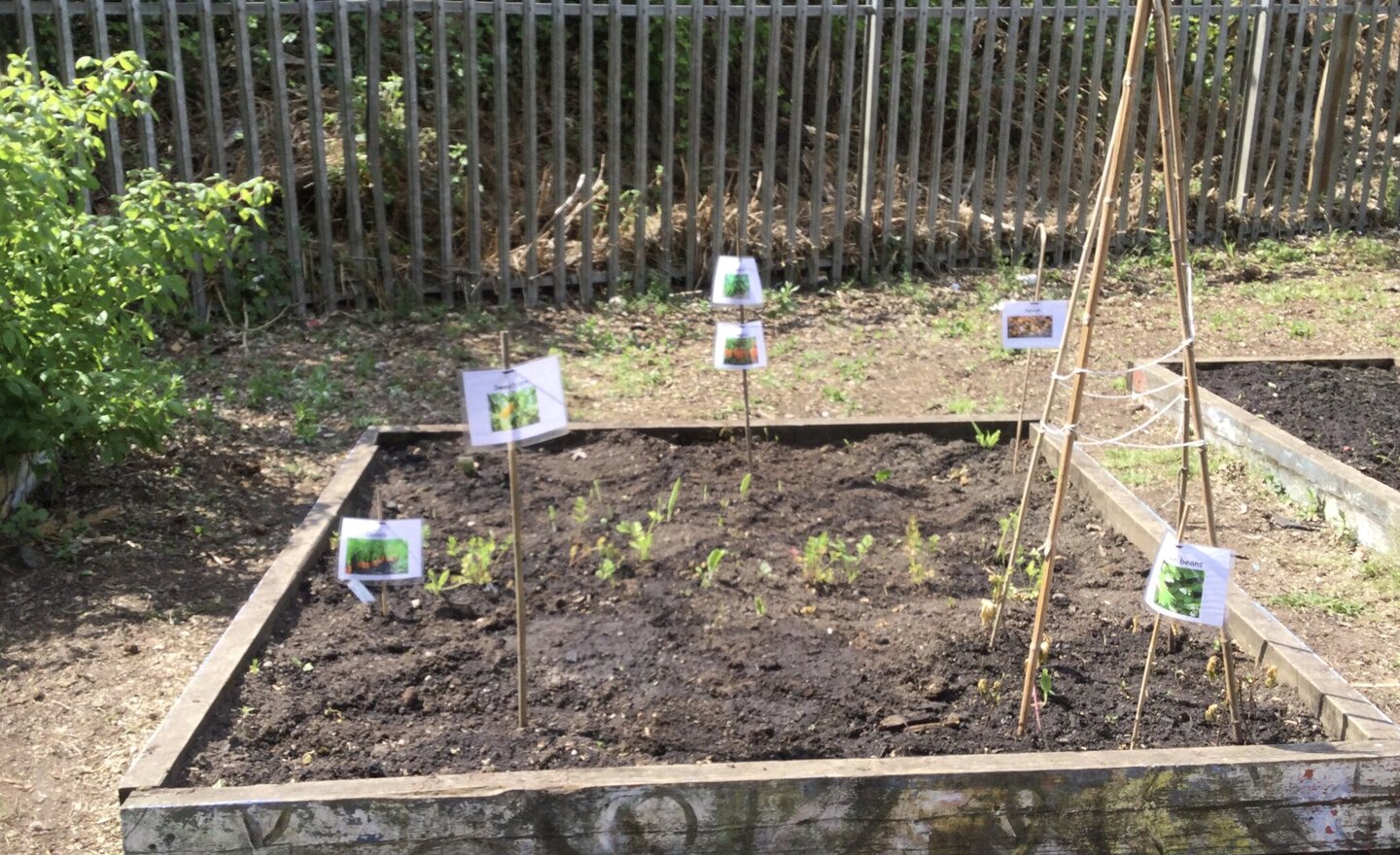 Image of Labelling and exploring 