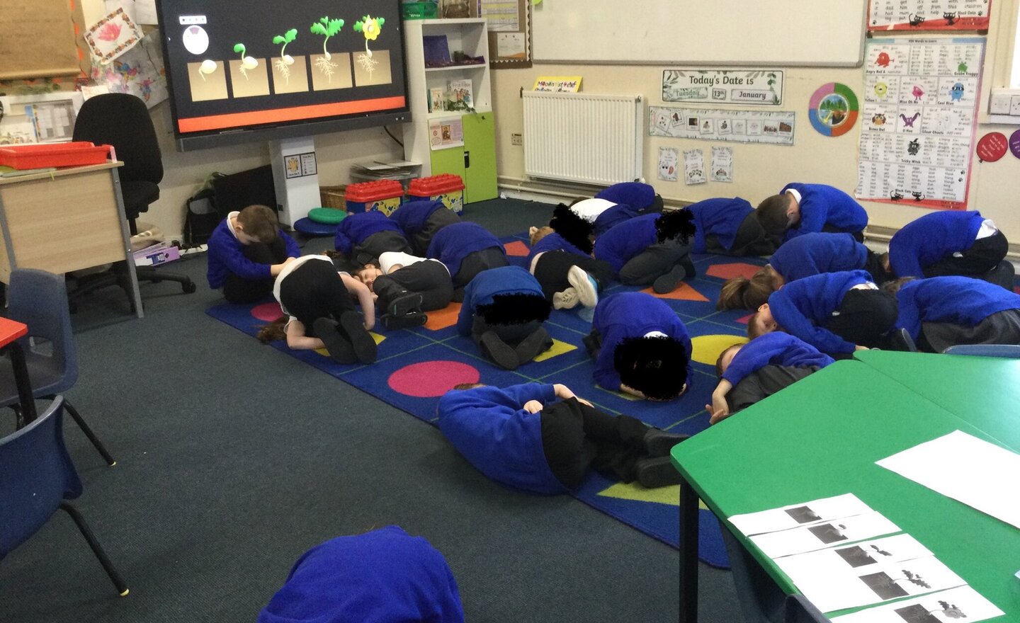 Image of Science-How do seeds change over time?