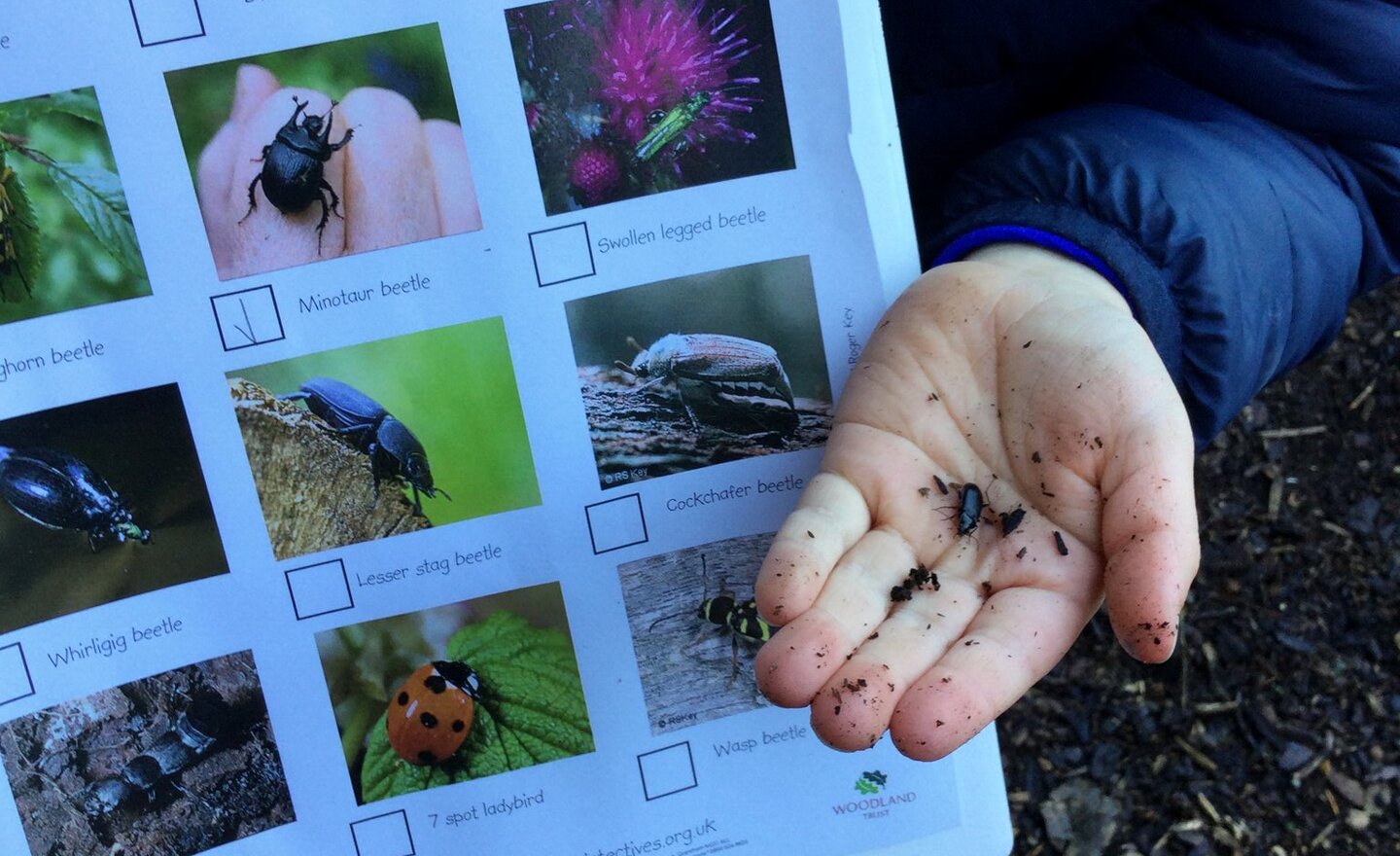 Image of Outdoor Thursdays!