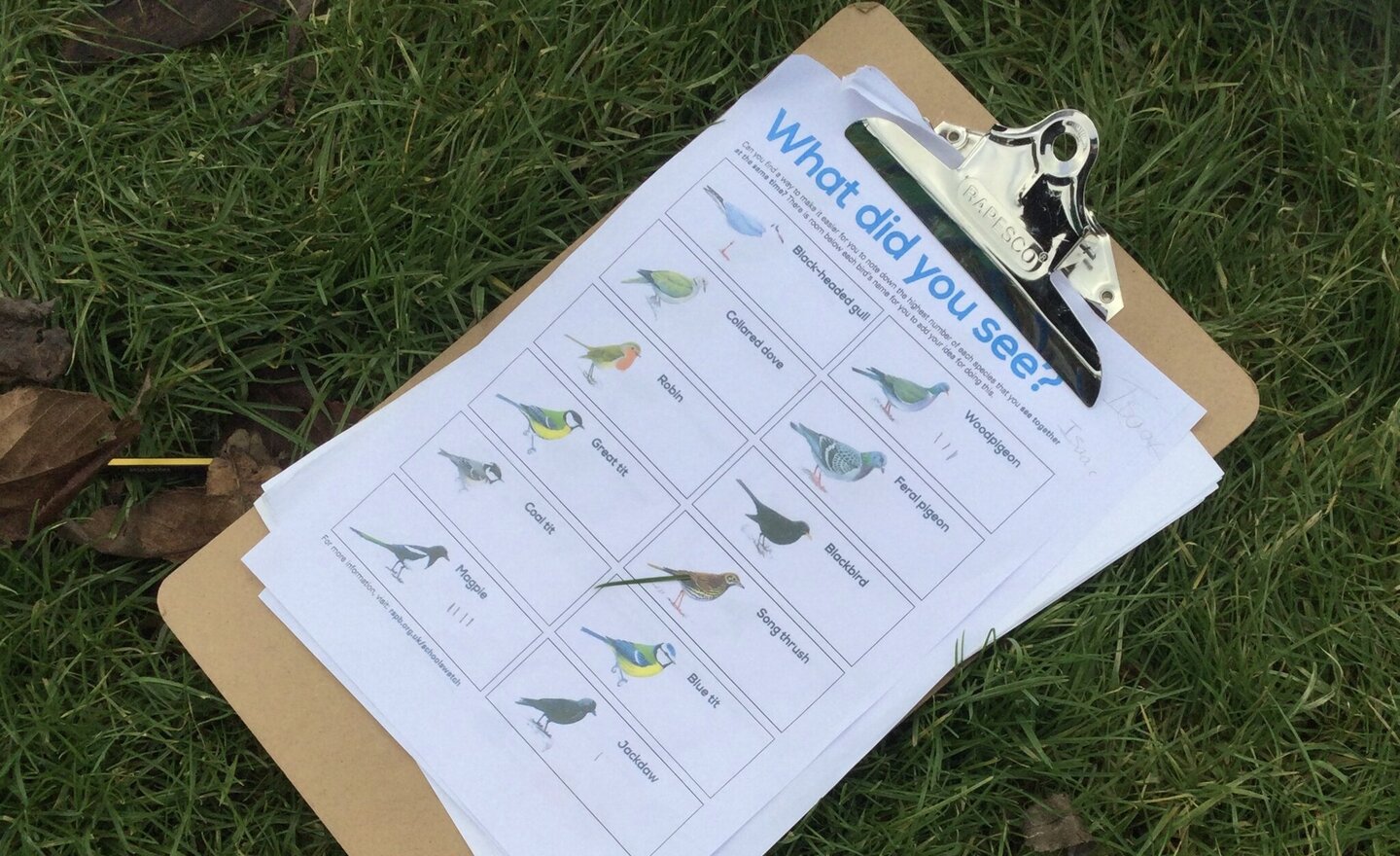 Image of RSPB Bird Watch 