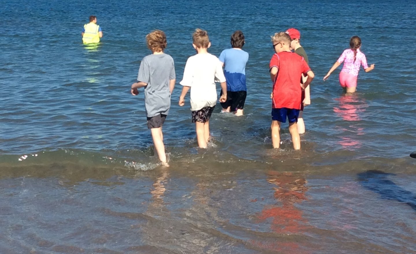 Image of Borth 2026