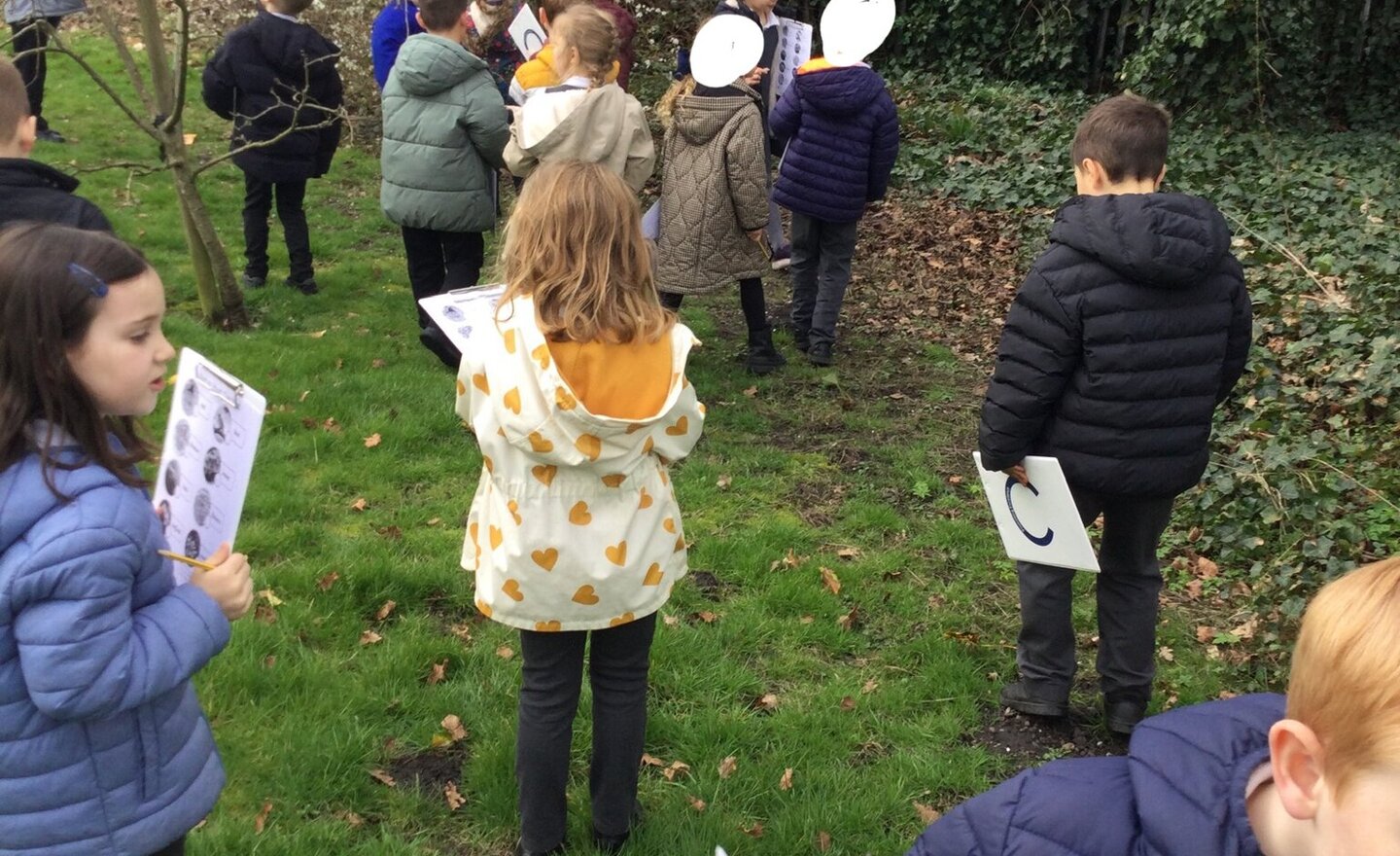 Image of Spring walk