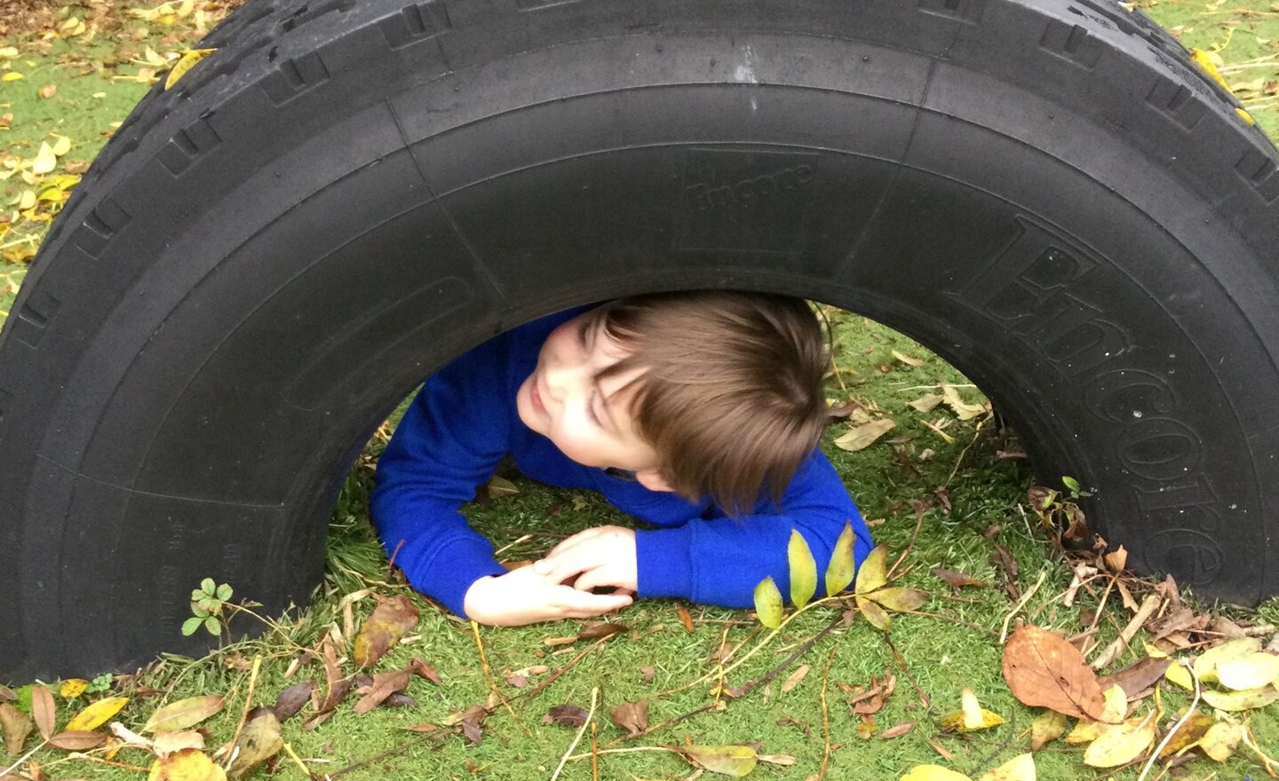 Image of Where are Class 1 hiding?