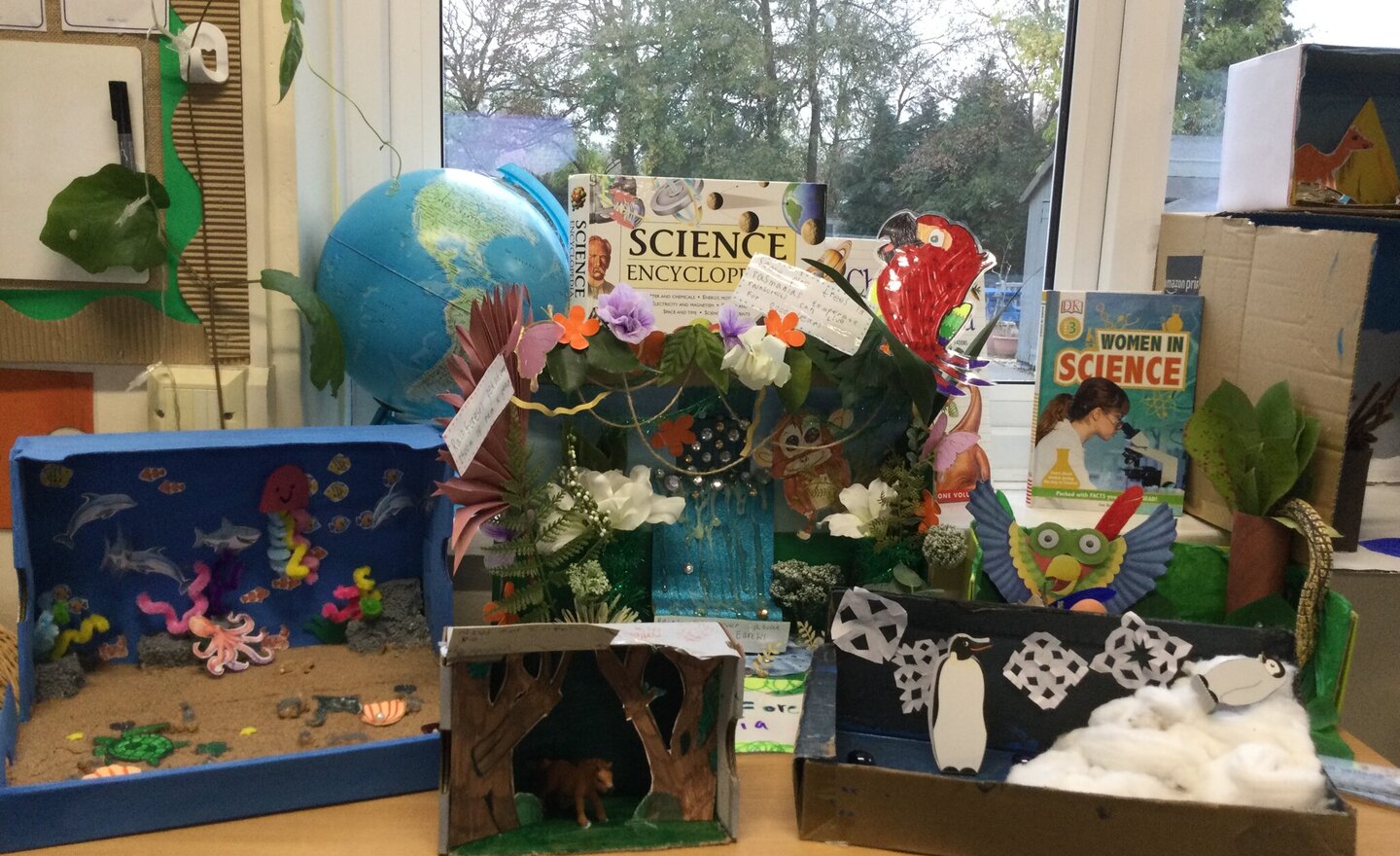Image of Class 2’s incredible biomes!