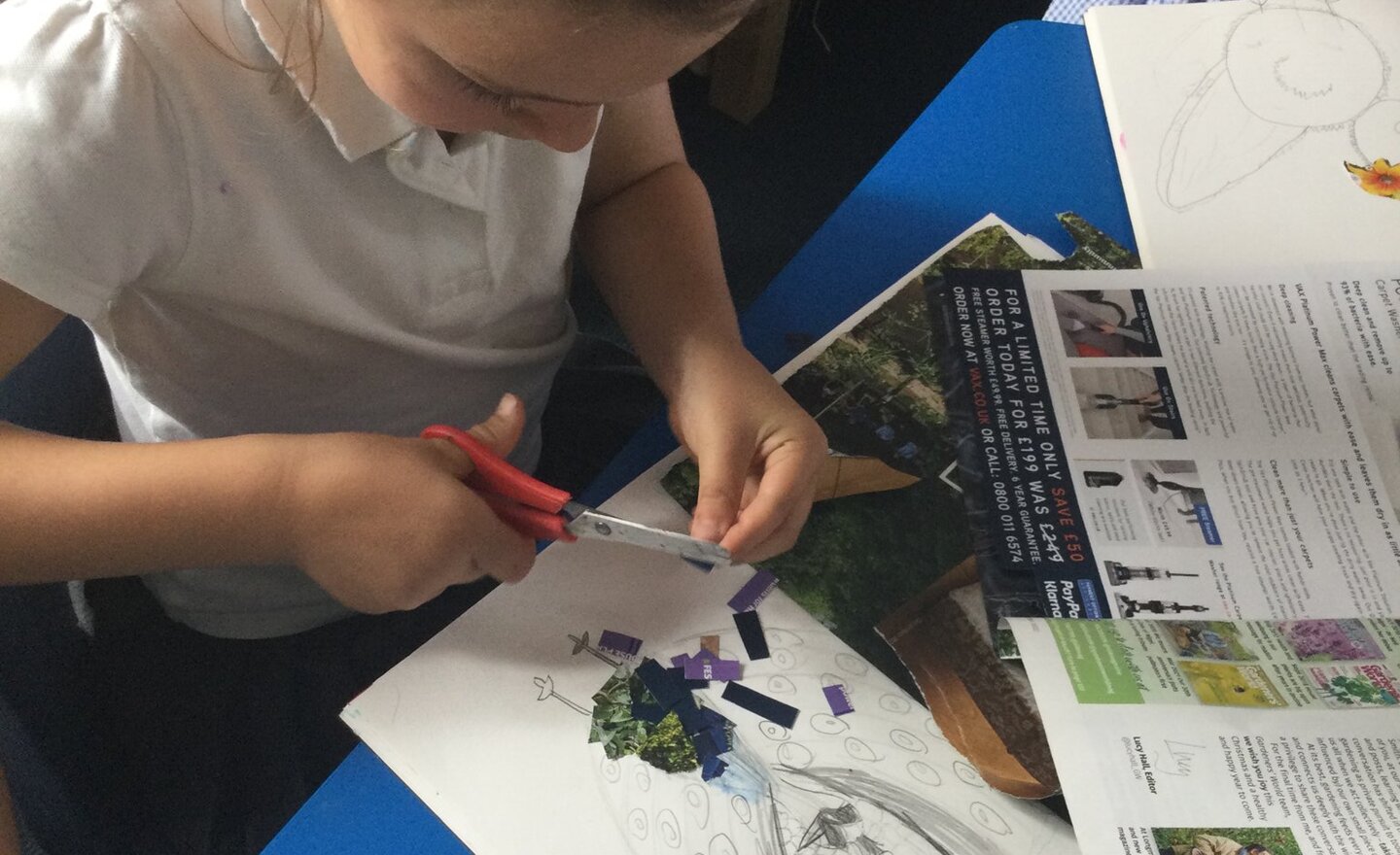 Image of Our collage birds in class 2!