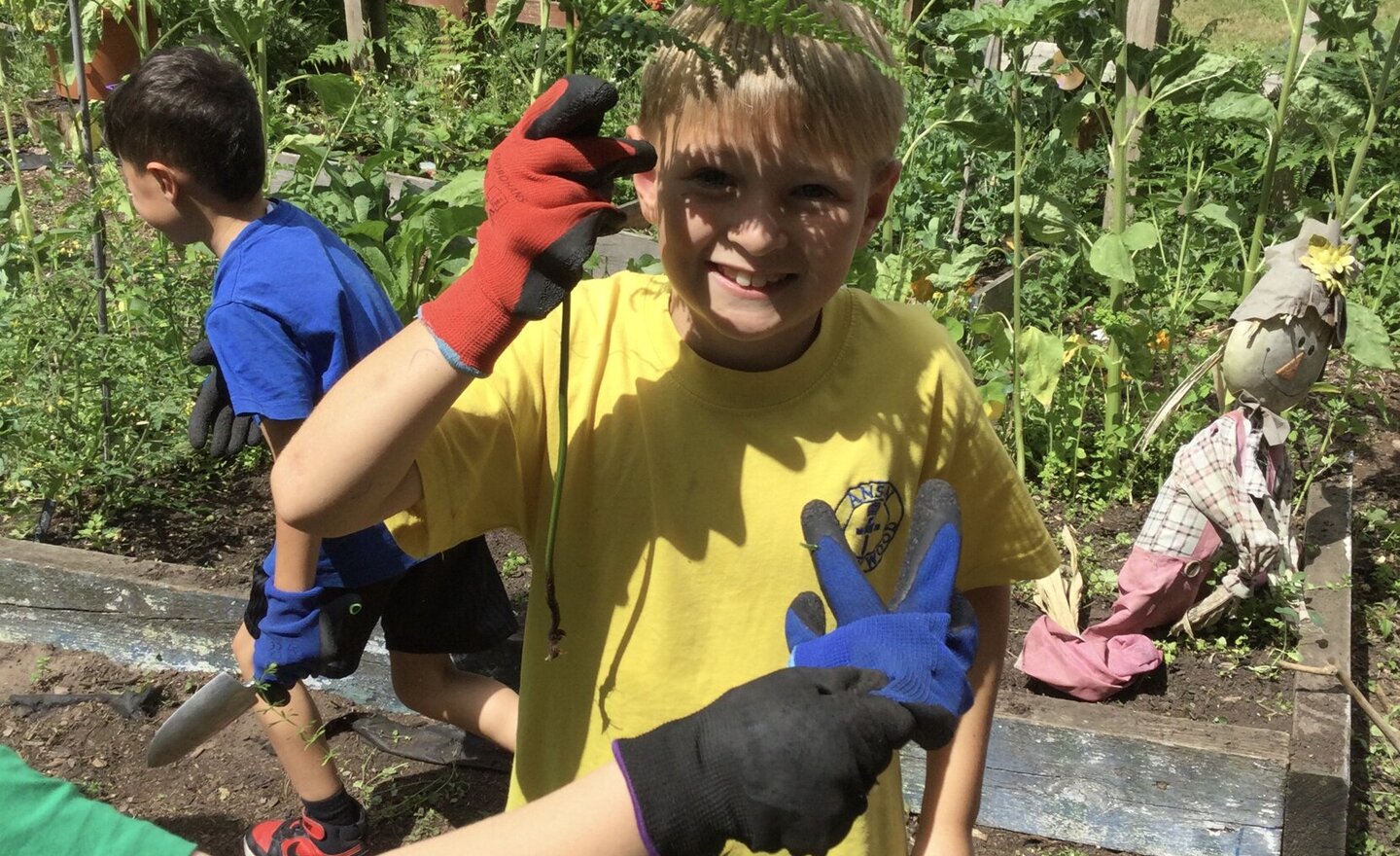 Image of Lots of weeds!