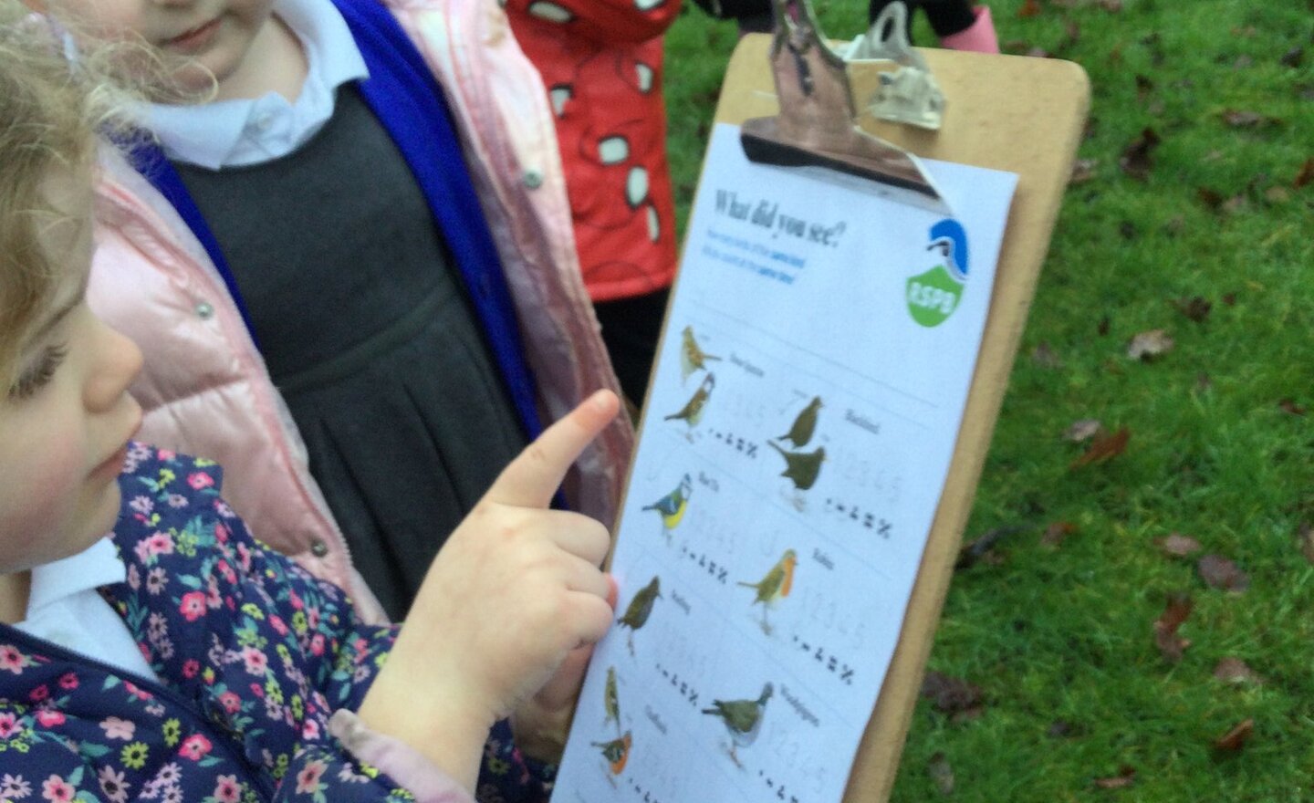 Image of Our Big Birdwatch