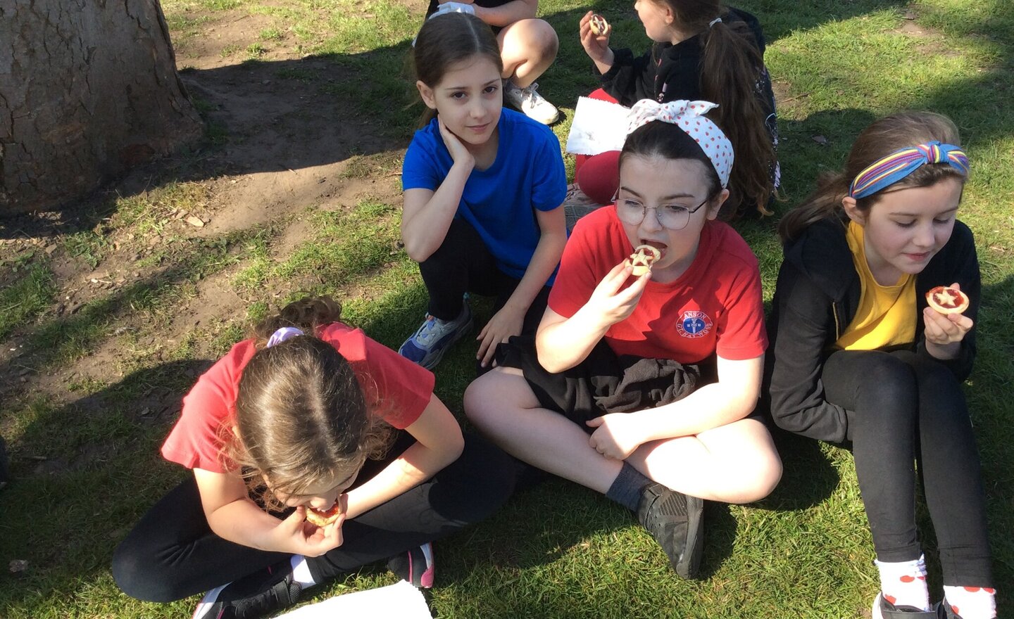 Image of Story time in the sunshine