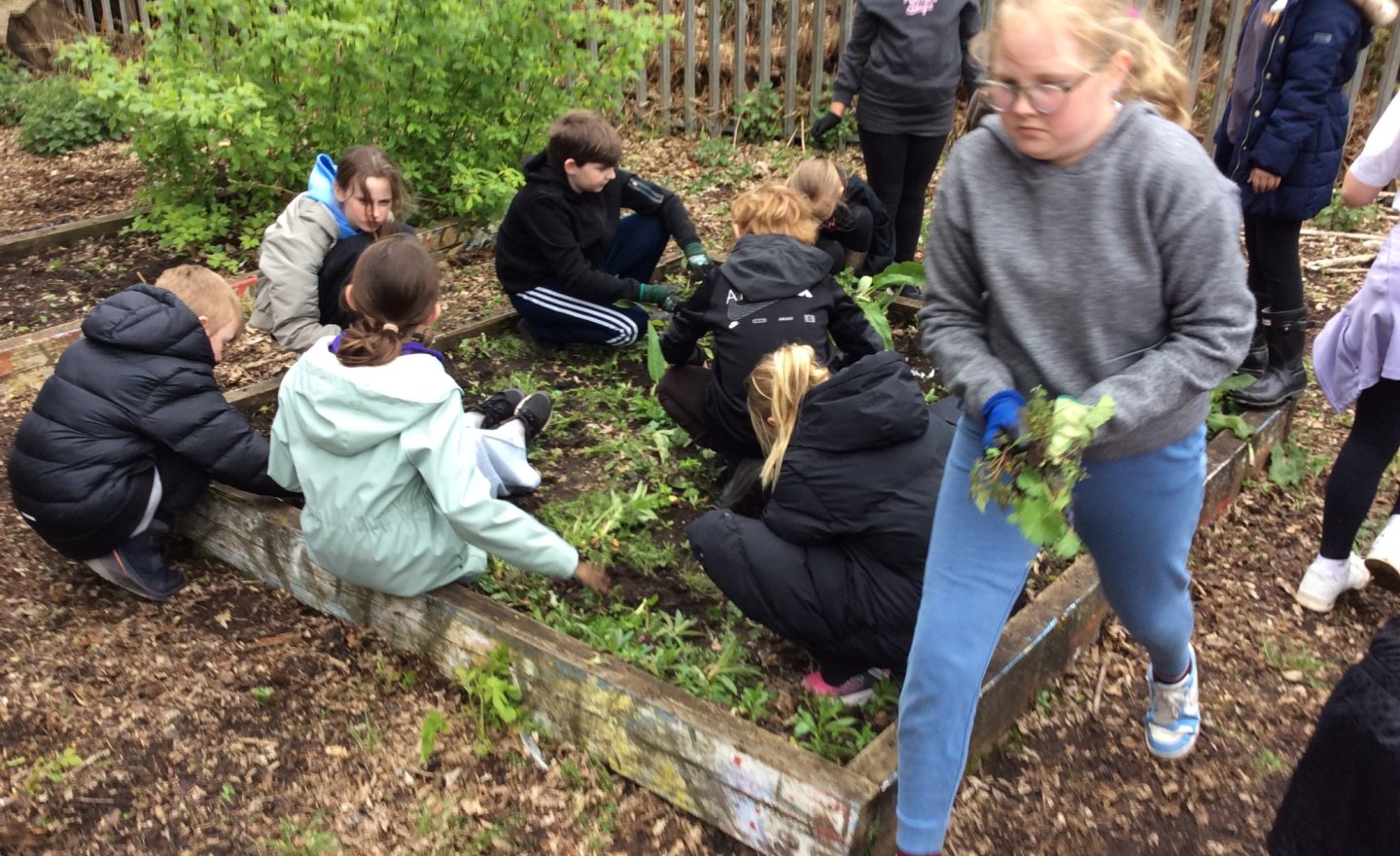 Image of Class 4 Gardening - May 2026