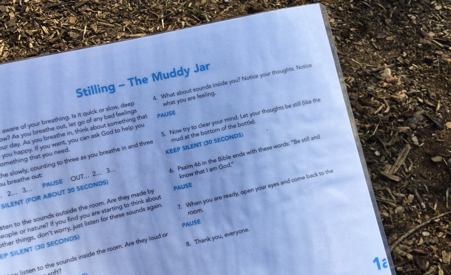 Image of Stilling in our outdoor classroom