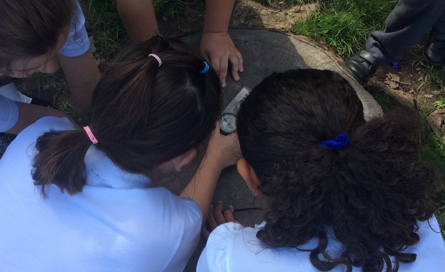 Image of North, East, South, West