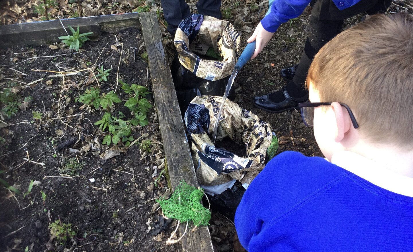 Image of Planting potatoes 