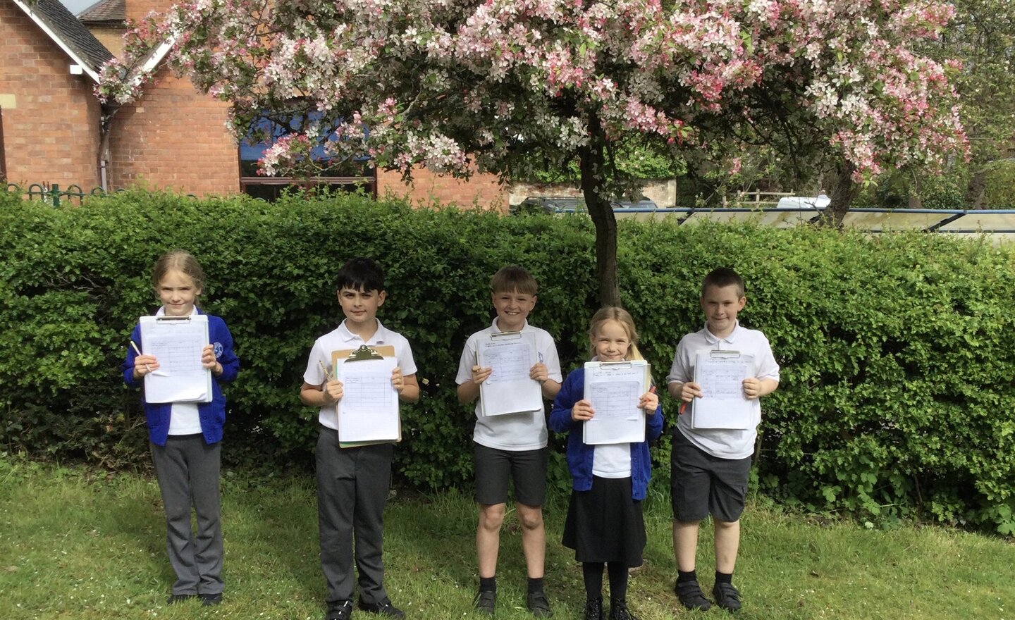 Image of Traffic survey 