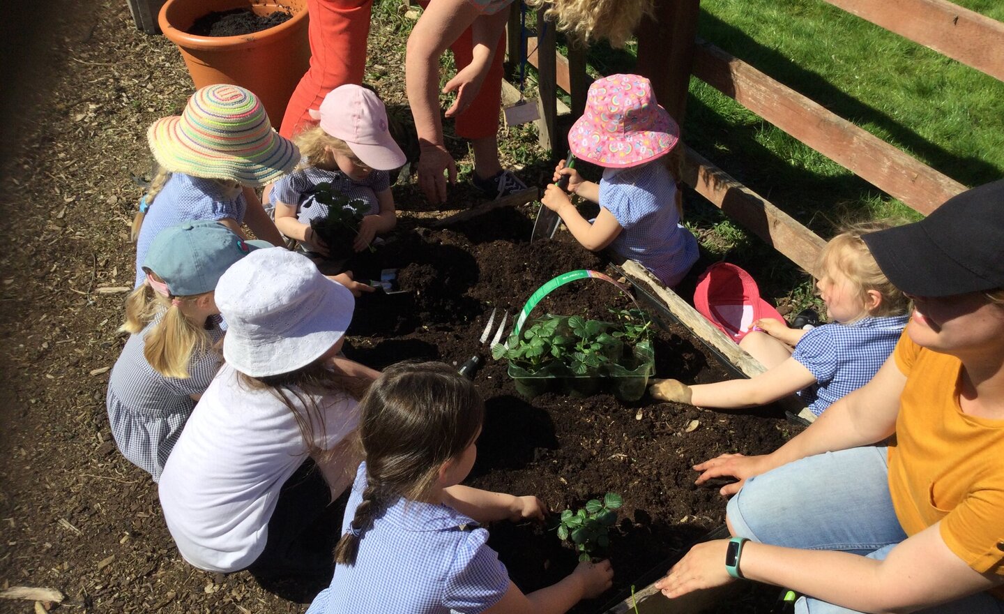 Image of Gardening in the sunshine!