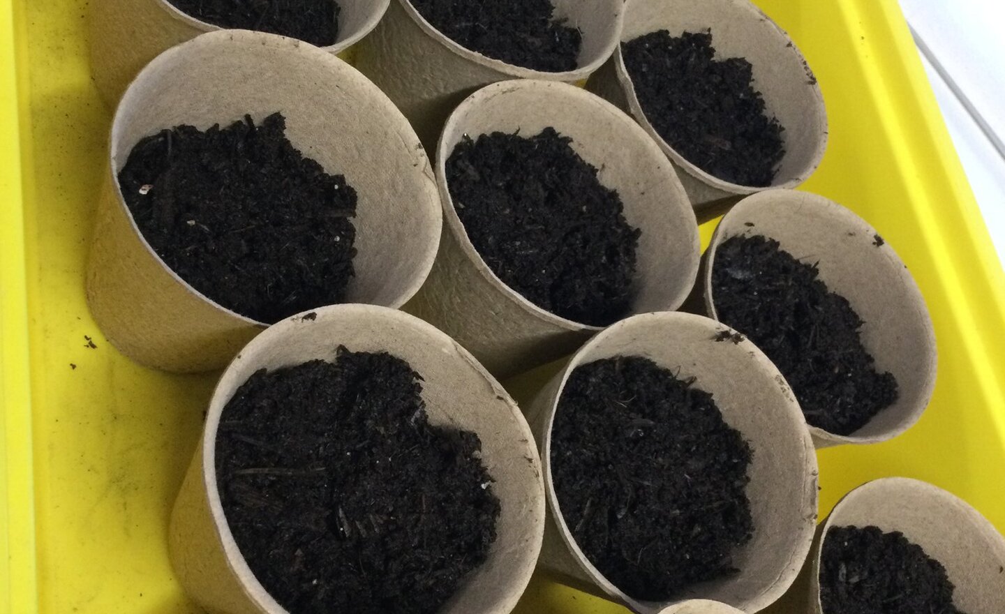 Image of We love outdoor Thursdays 