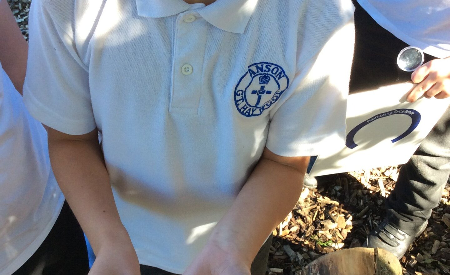 Image of Mini Beast Hunt in Science 