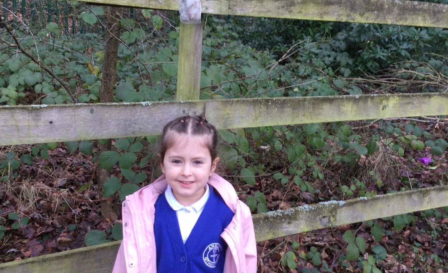 Image of Feeding the birds