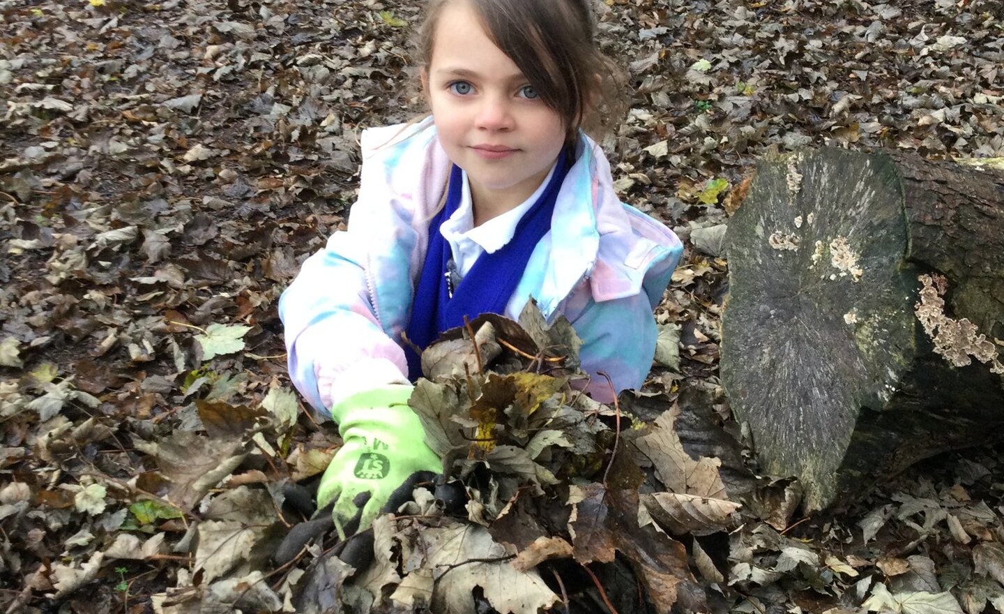 Image of Outdoor Thursdays.